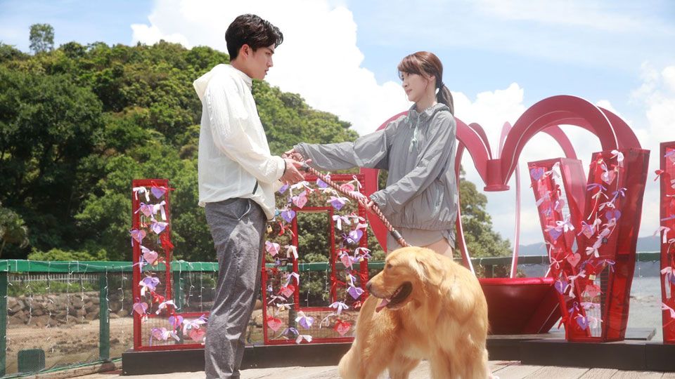 《宠爱Pet Pet》分集剧情（1~20集）