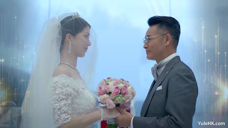 《金式森林》