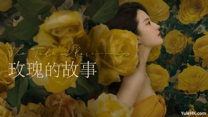 《玫瑰的故事》粤语版分集剧情（1~20集大结局）