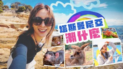 《塔斯曼尼亚潮什么》12月22日起逢星期一至五翡翠台首播