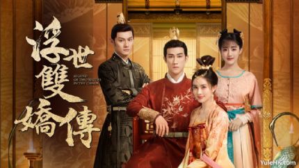 《浮世双娇传》分集剧情（1~40集大结局）